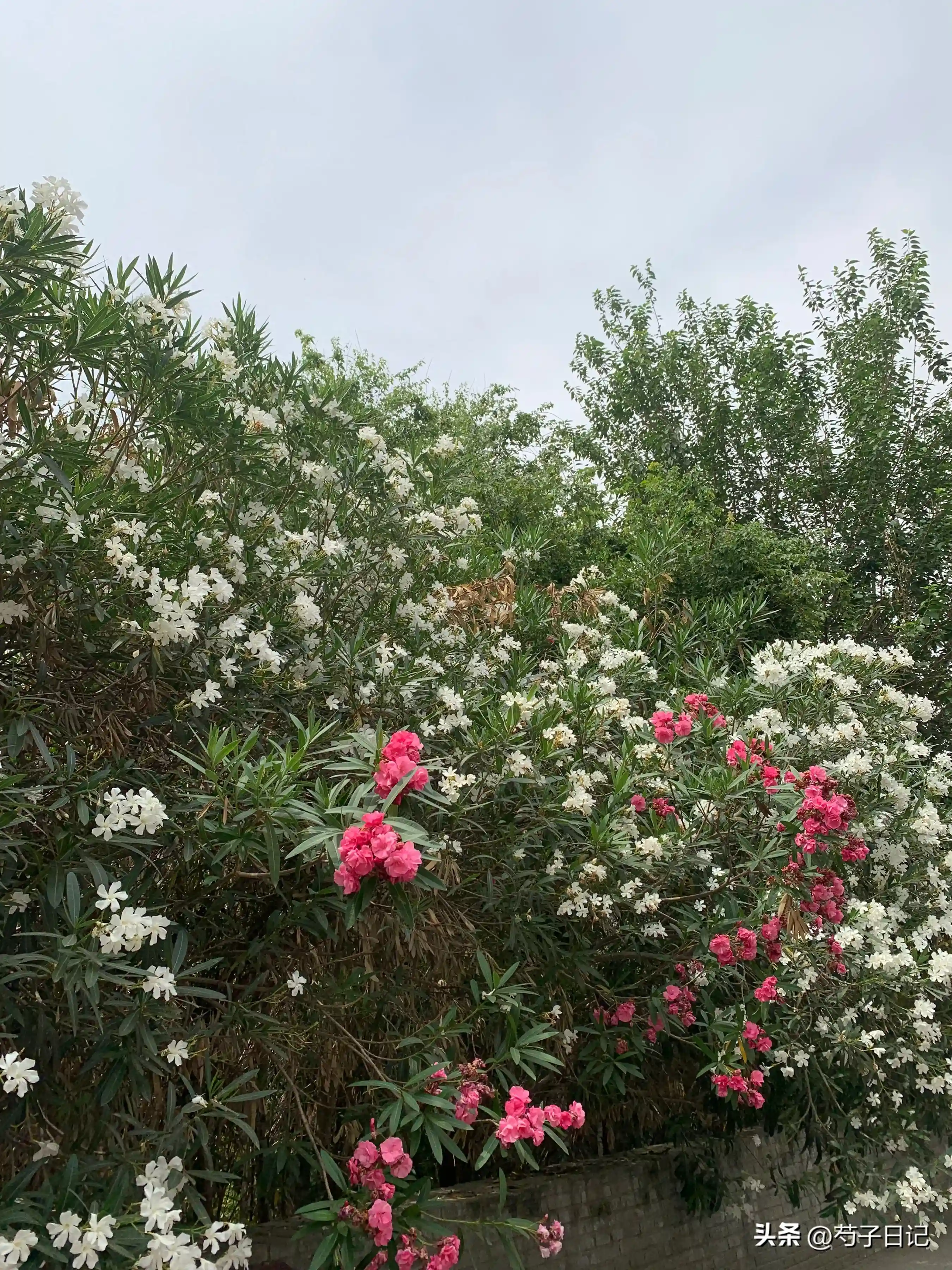 缴了18个月的社保，头一次提取公积金，工作人员说，随便花