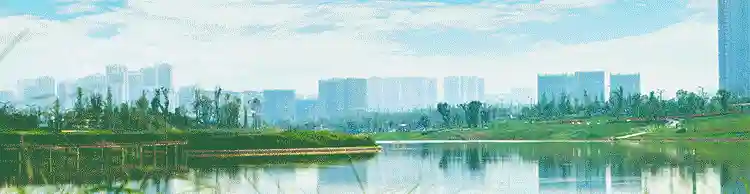 四川公积金业务12月29日暂停办理 | 早安，新眉