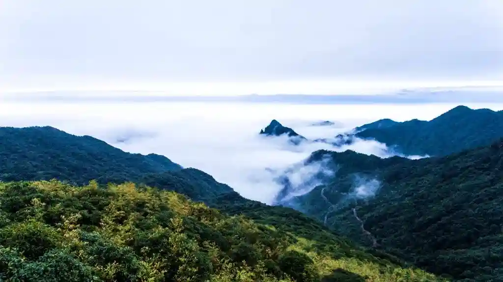 把“五一”假期交给韶关！你原来有这么多的选择……