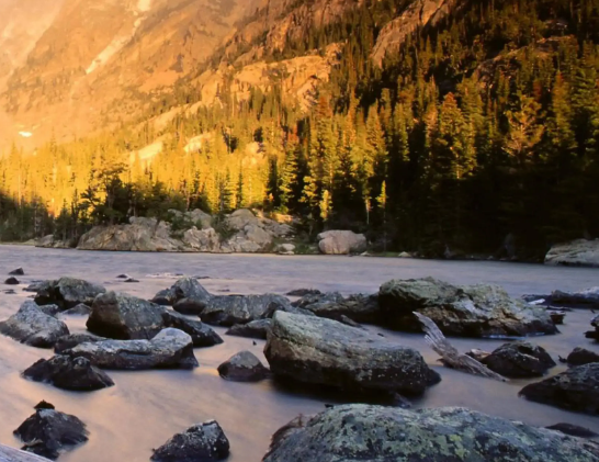 十三届市委第七轮巡察第二批，7家单位公布整改情况